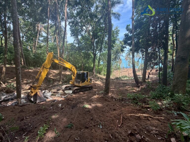 คุณเขียด6