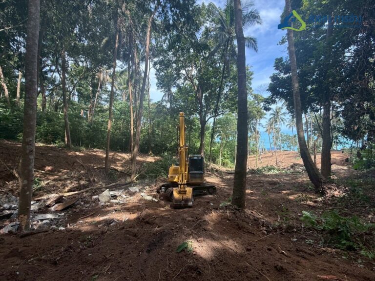 คุณเขียด8