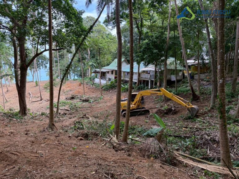 คุณเขียด9